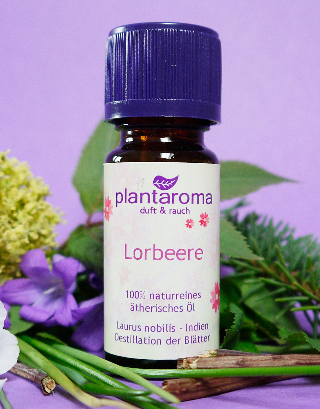 Lorbeere, 100 % naturreines ätherisches Öl