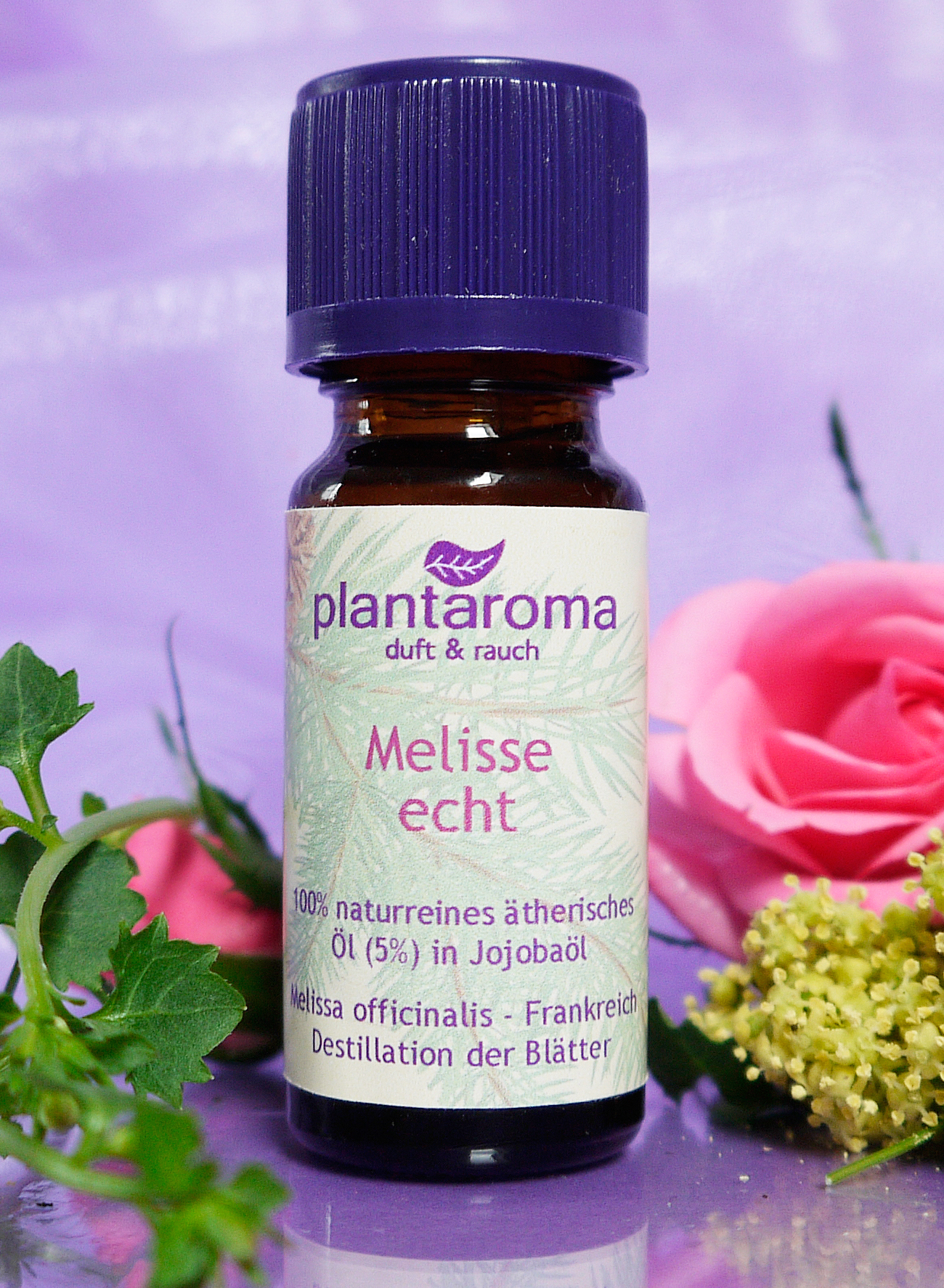 Melisse echt in 100 % naturreinem Jojobaöl