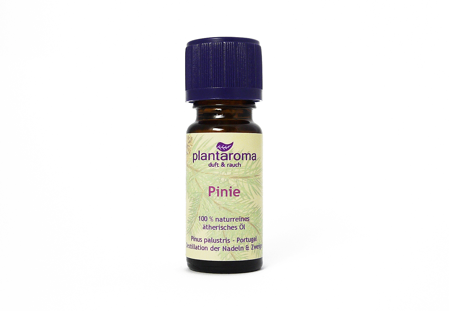 Pinie, 100 % naturreines ätherisches Öl