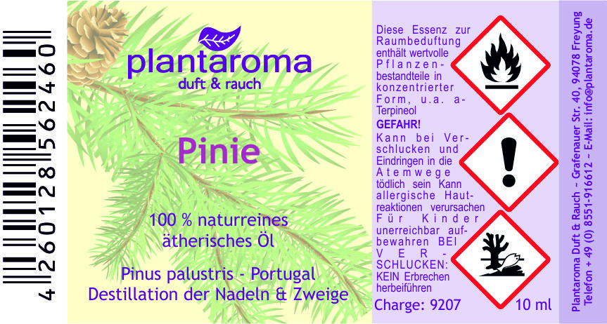 Pinie, 100 % naturreines ätherisches Öl