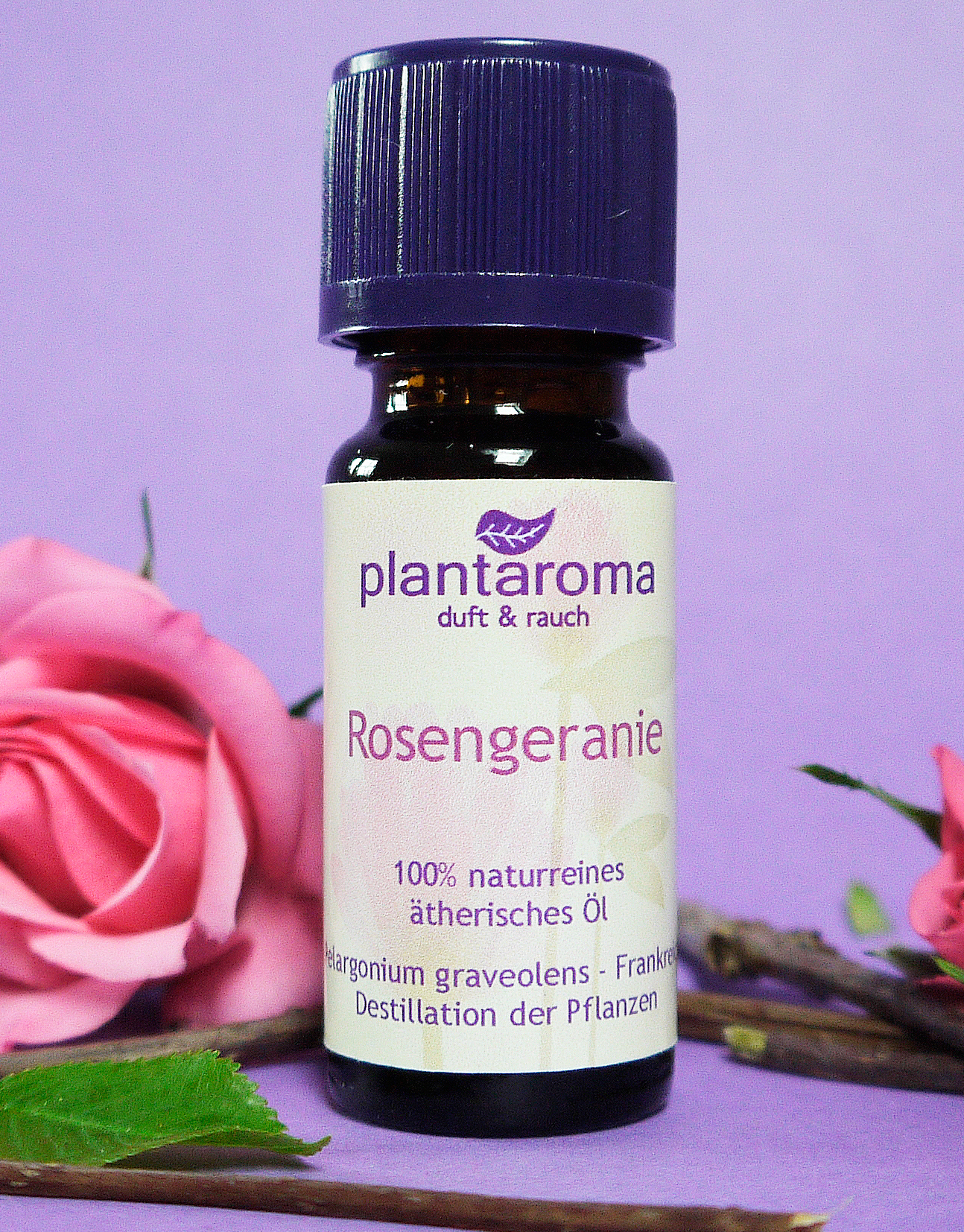 Rosengeranie in 100 % naturreinem Jojobaöl