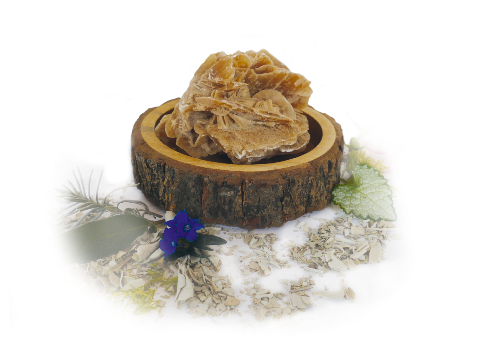 Teller aus Mangoholz