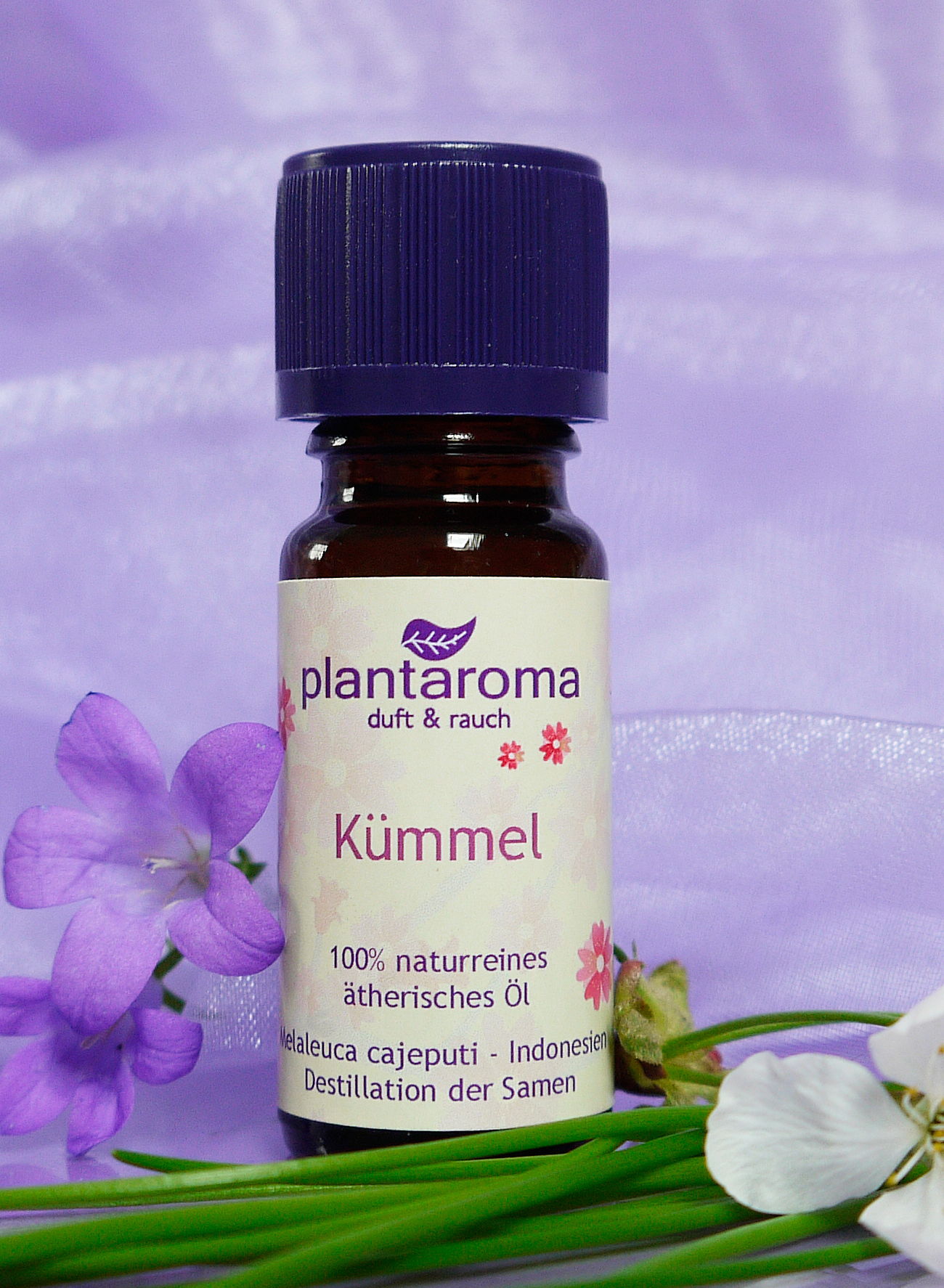 Kümmel, 100 % naturreines ätherisches Öl
