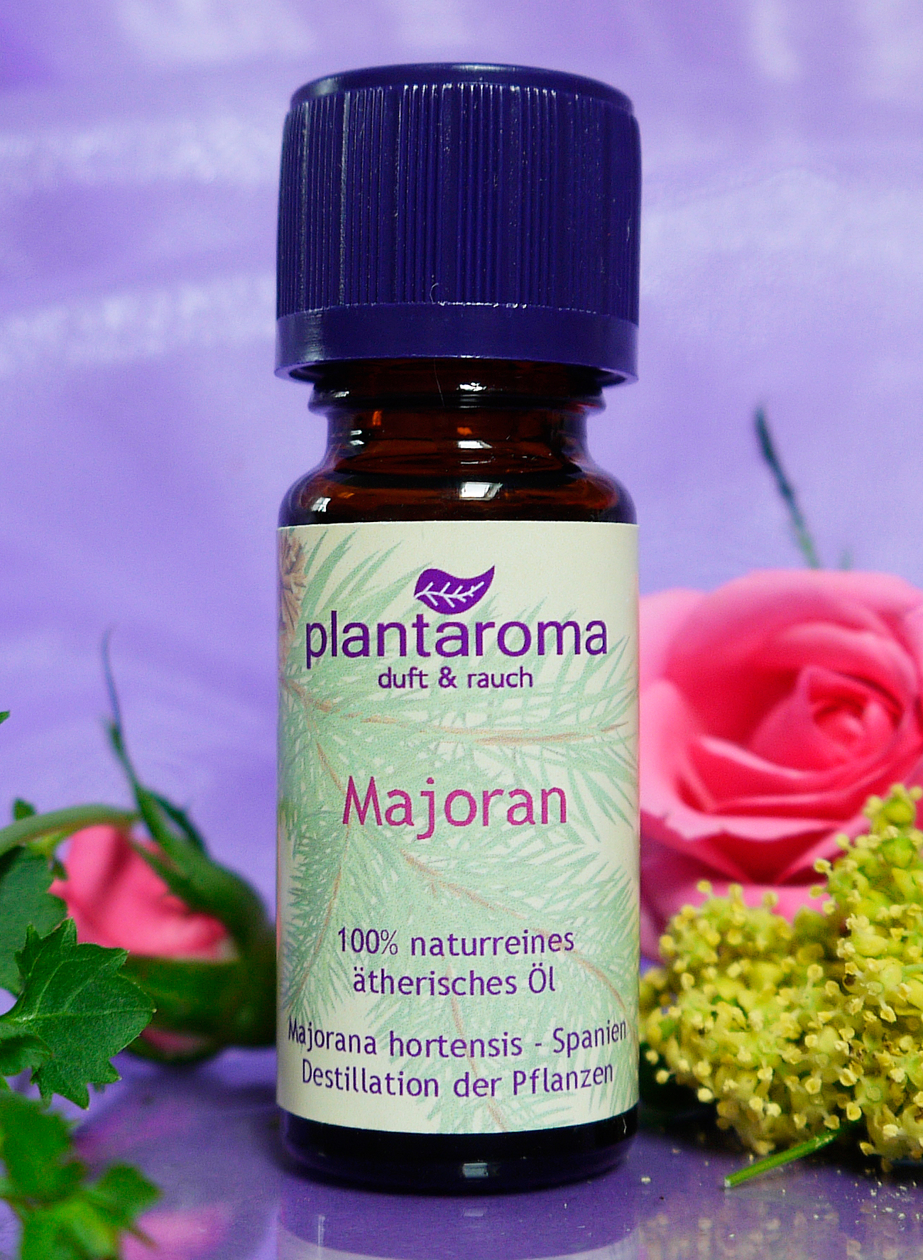 Majoran, 100 % naturreines ätherisches Öl