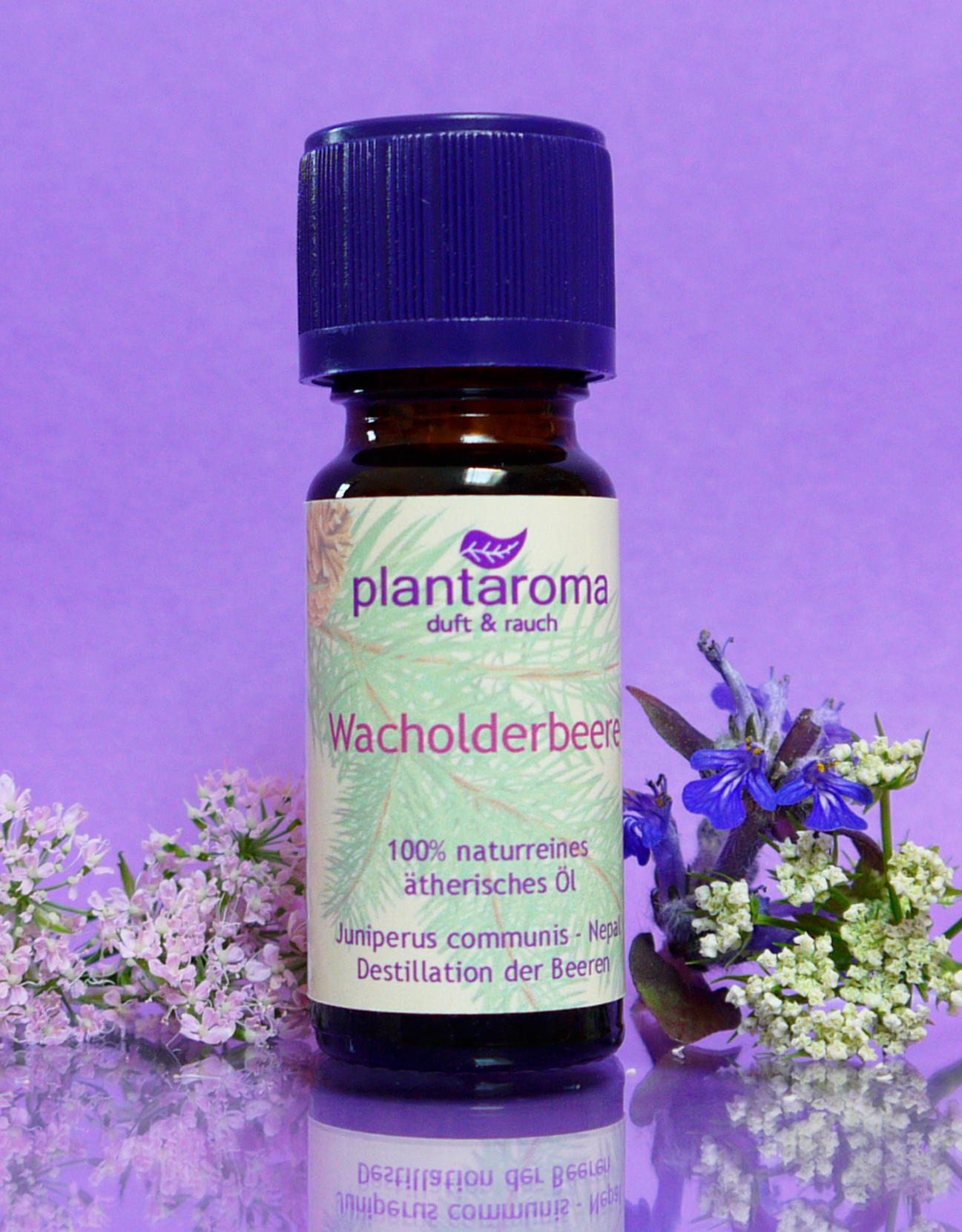 Wacholderbeere, 100 % naturreines ätherisches Öl