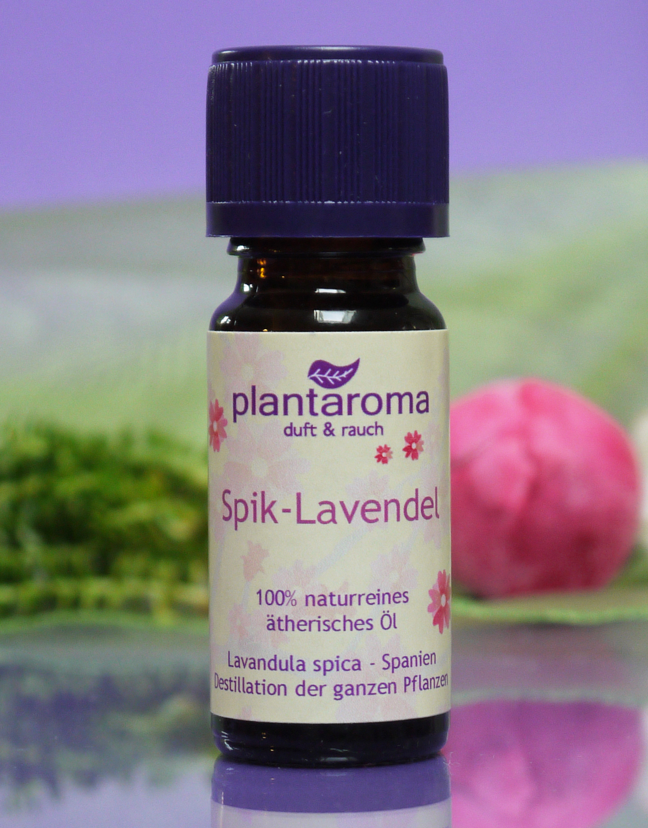 Spik-Lavendel, 100 % naturreines ätherisches Öl