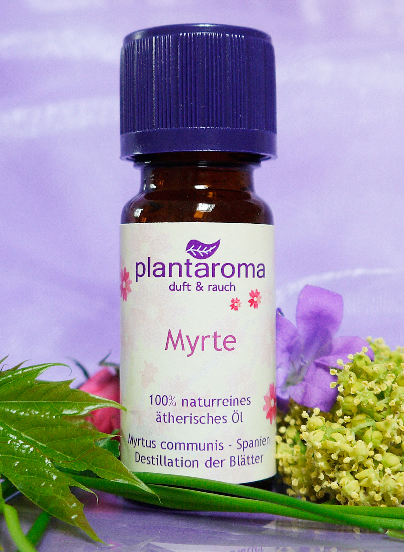 Myrte, 100 % naturreines ätherisches Öl