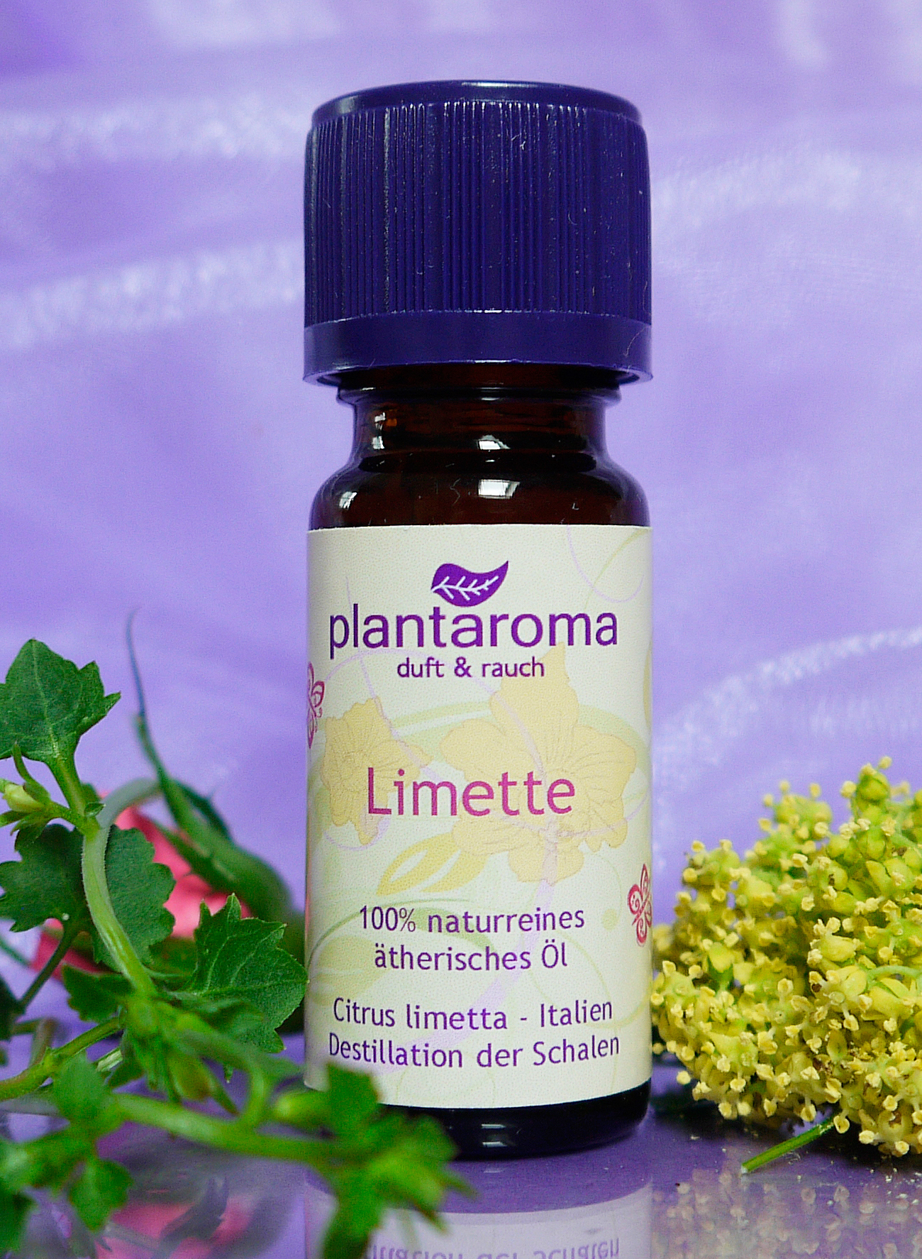 Limette, 100 % naturreines ätherisches Öl