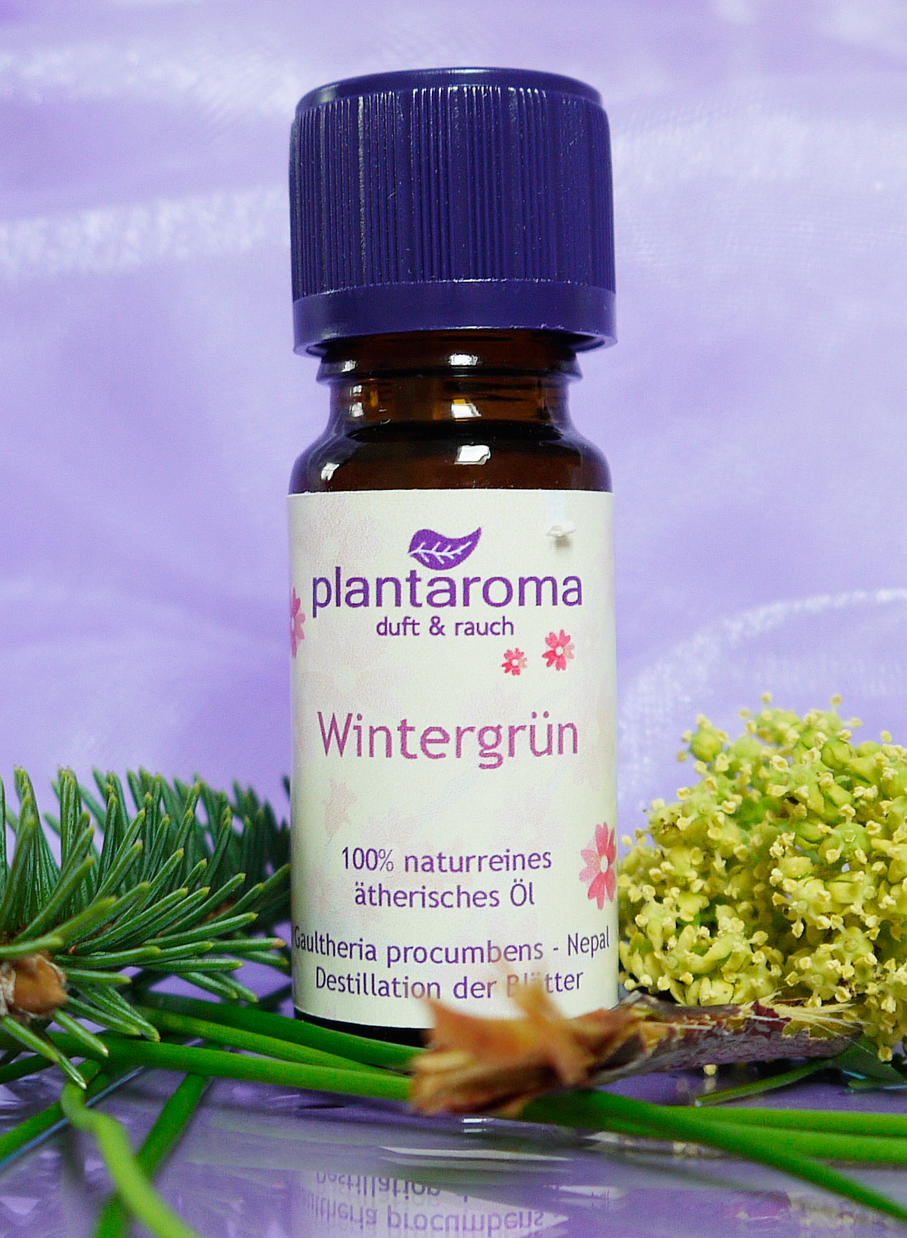Wintergrün, 100 % naturreines ätherisches Öl