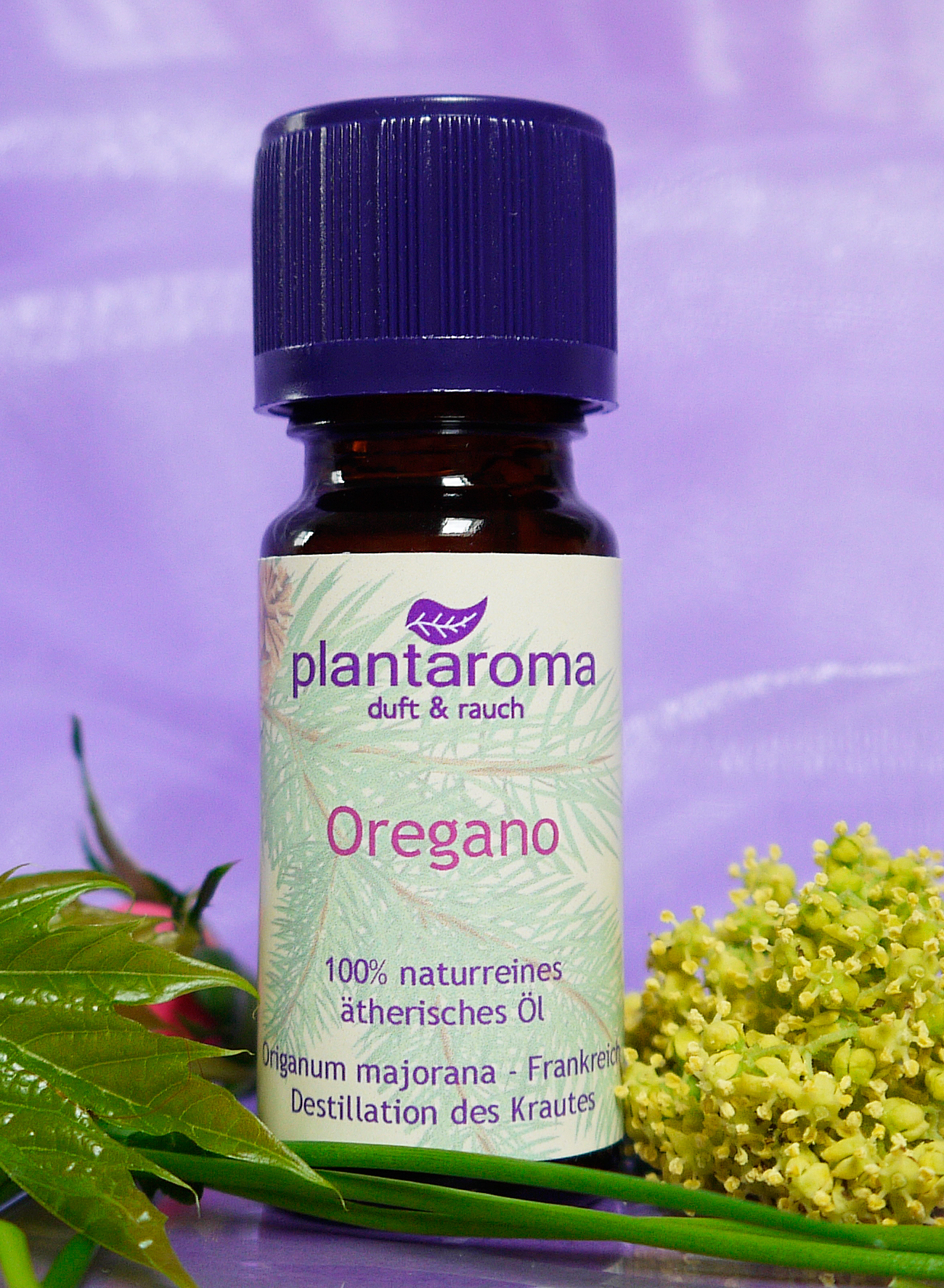 Oregano, 100 % naturreines ätherisches Öl