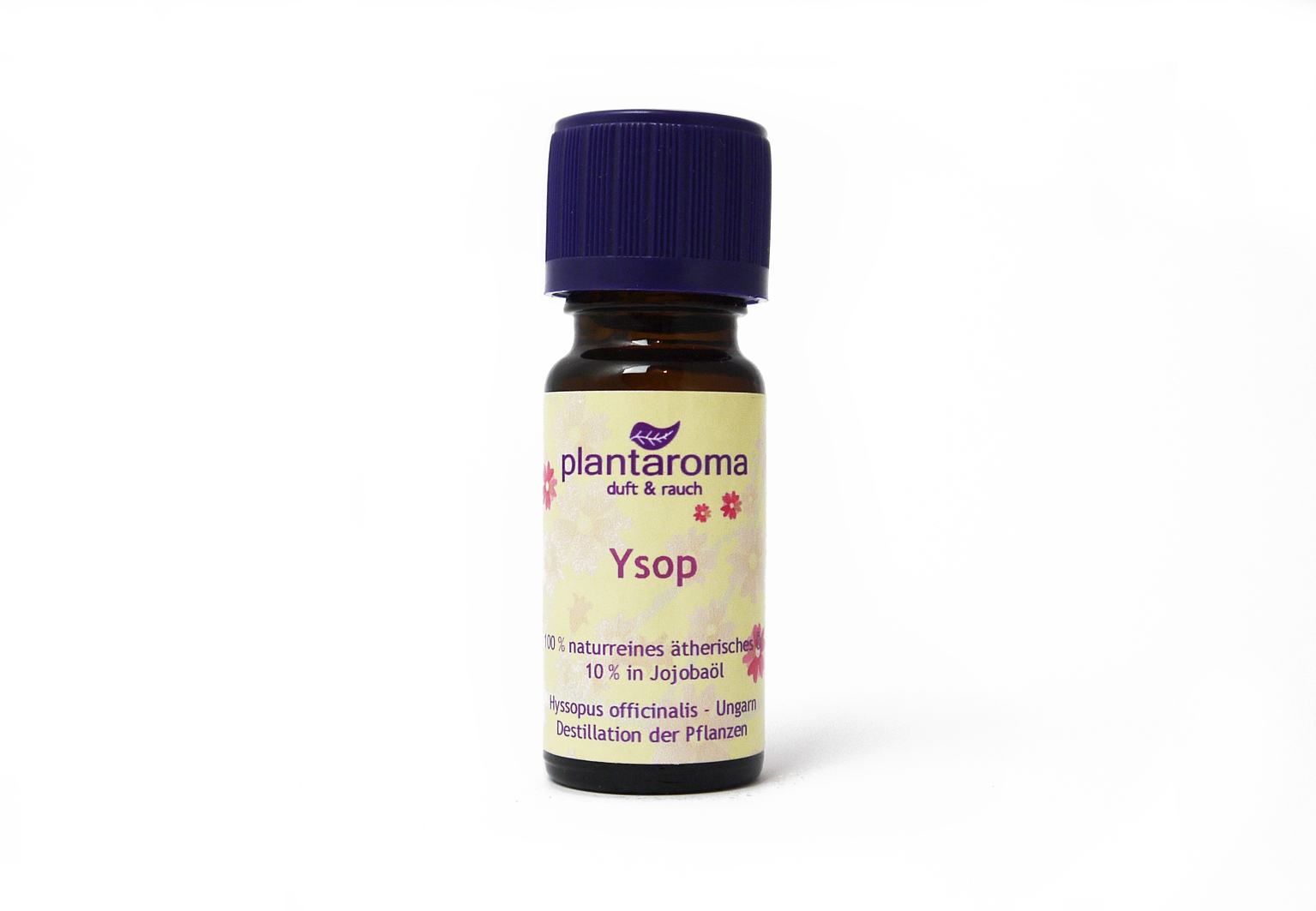 Ysop in 100 % naturreinem Jojobaöl