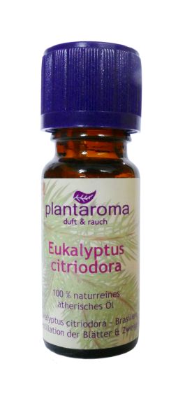 Eukalyptus citriodora, 100 % naturreines ätherisches Öl